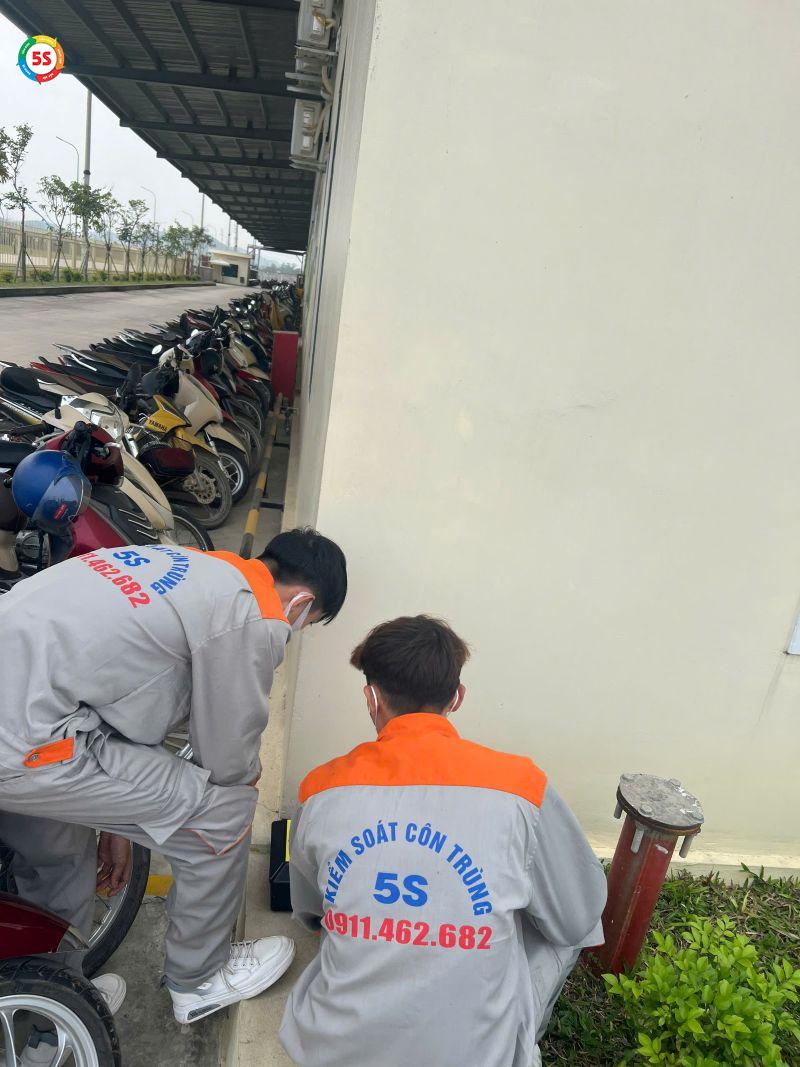 đuổi chuột ô tô