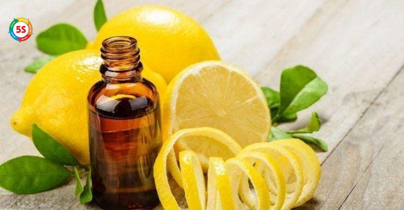 đuổi kiến bằng tinh dầu