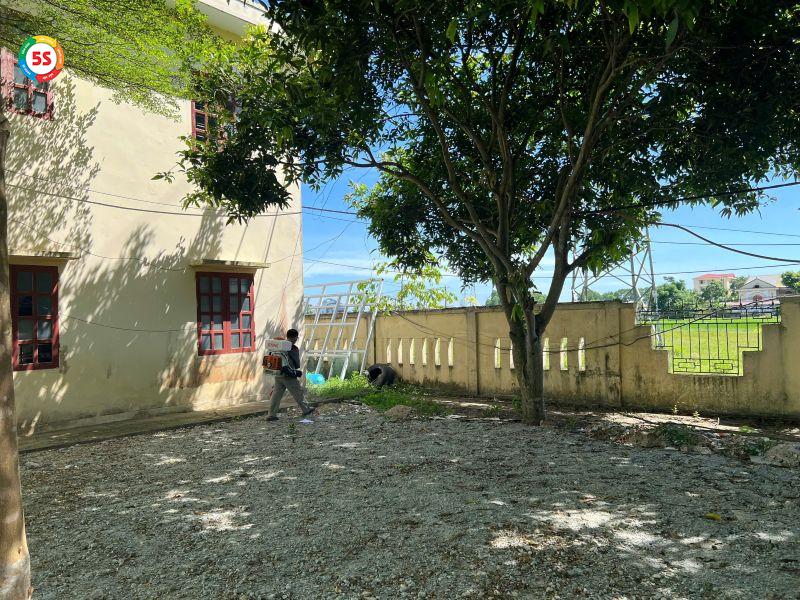 kiến có phải là côn trùng không