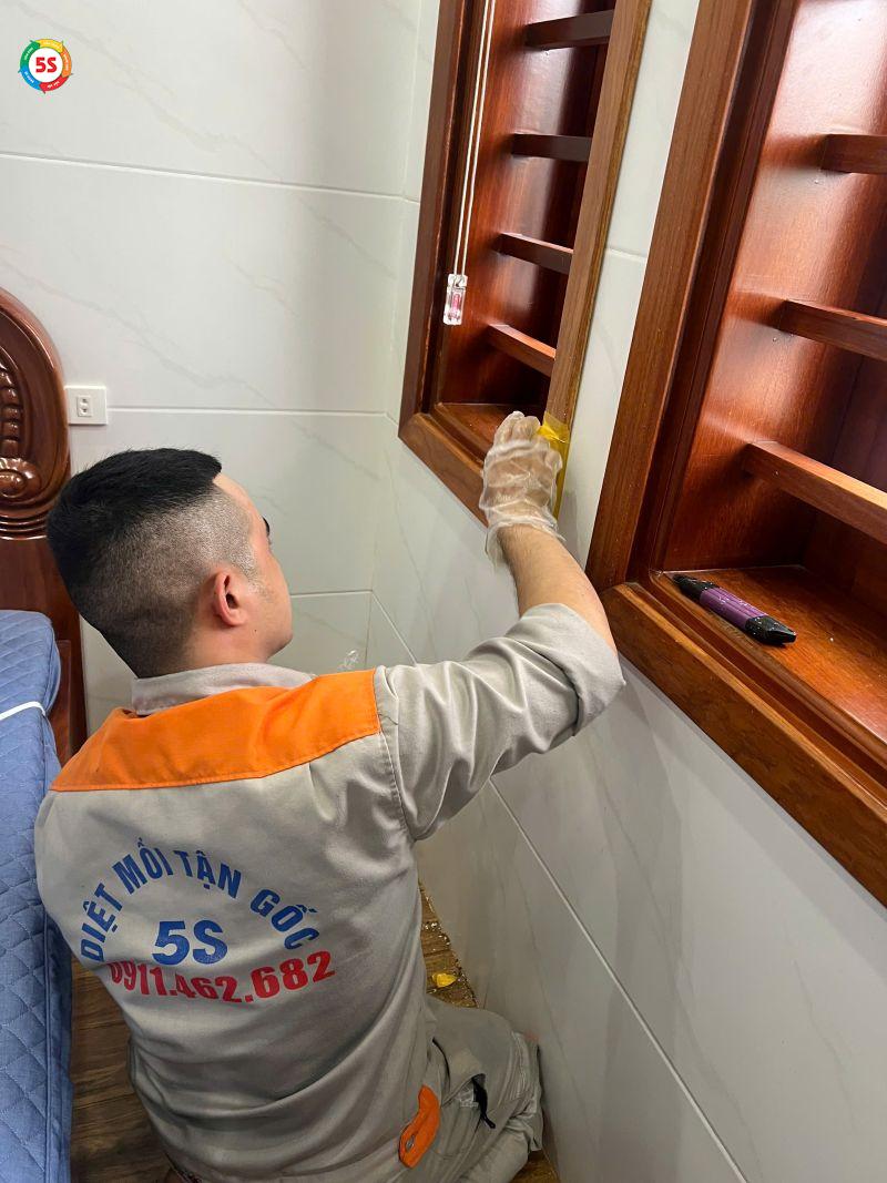 cách đuổi mối cánh ra khỏi nhà