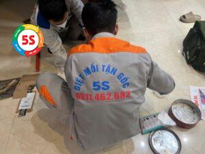 thuốc diệt mối dạng bột