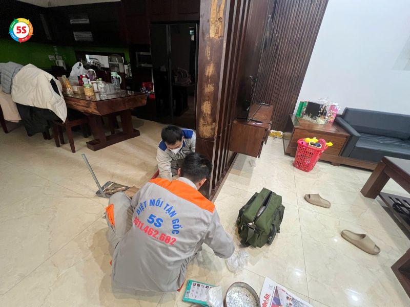 thuốc diệt mối dạng bột