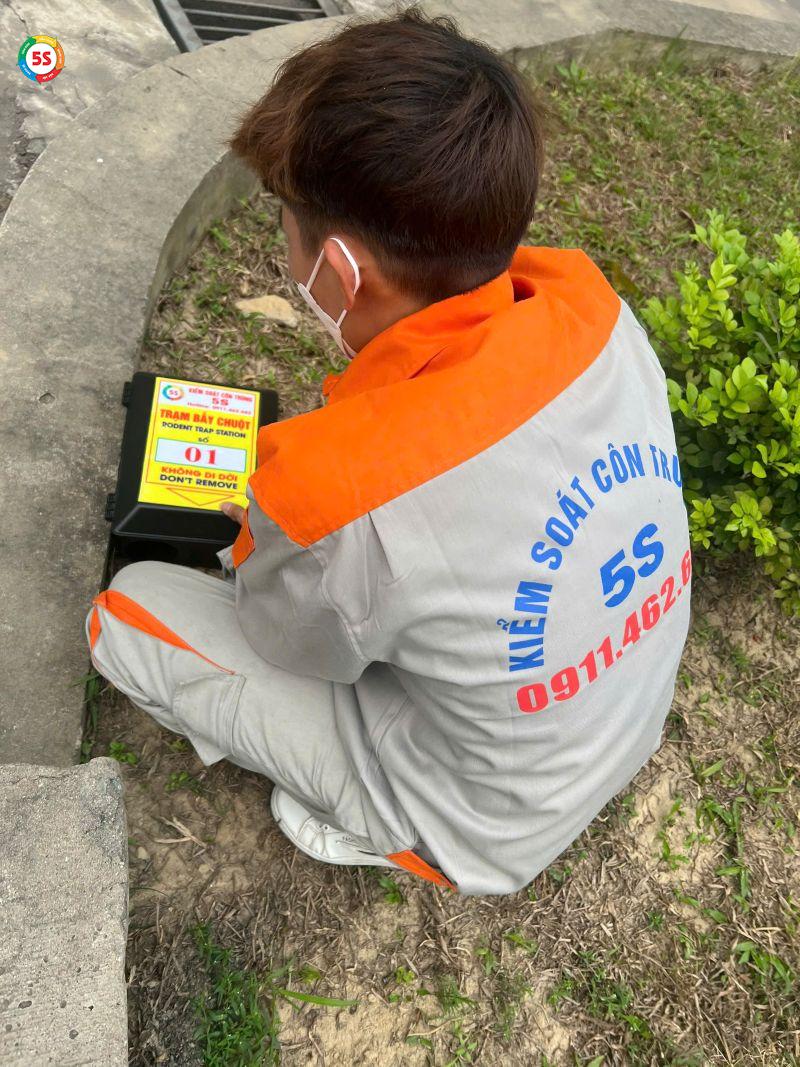 Cách đuổi chuột trên trần nhà