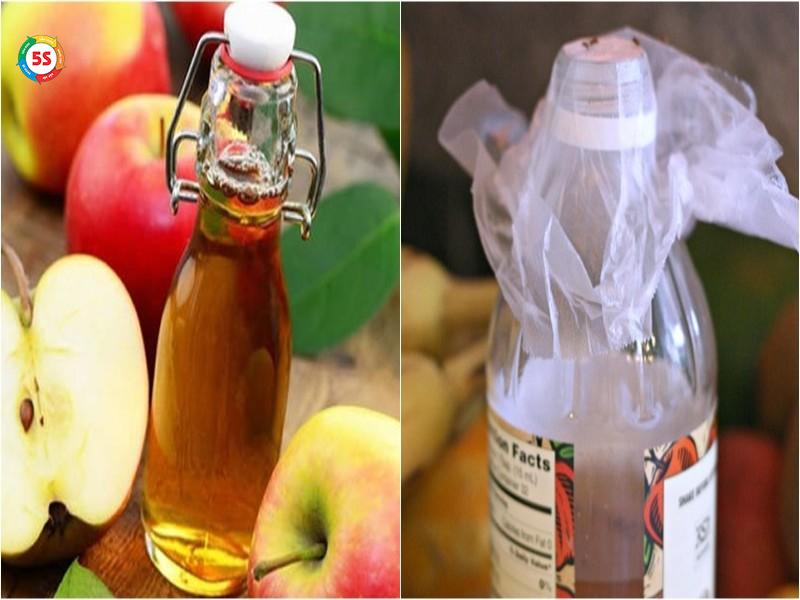 cách diệt ruồi trong quán ăn