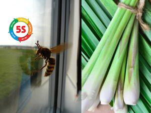 cach-tieu-diet-ong-ruoi