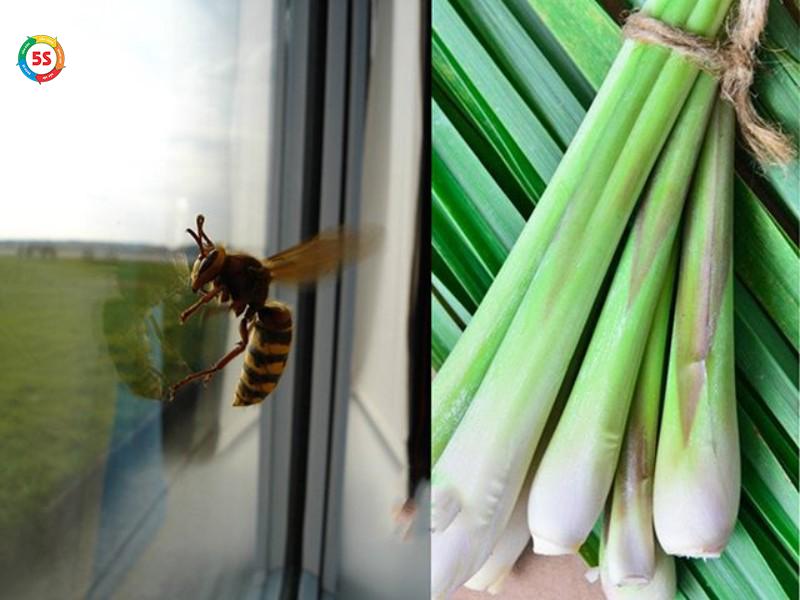 cach-tieu-diet-ong-ruoi