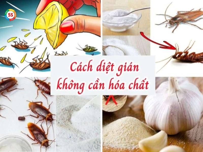 cach-duoi-gian-hieu-qua-tai-nha