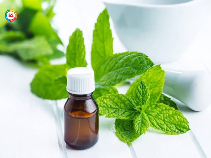 cách đuổi gián trong phòng ngủ
