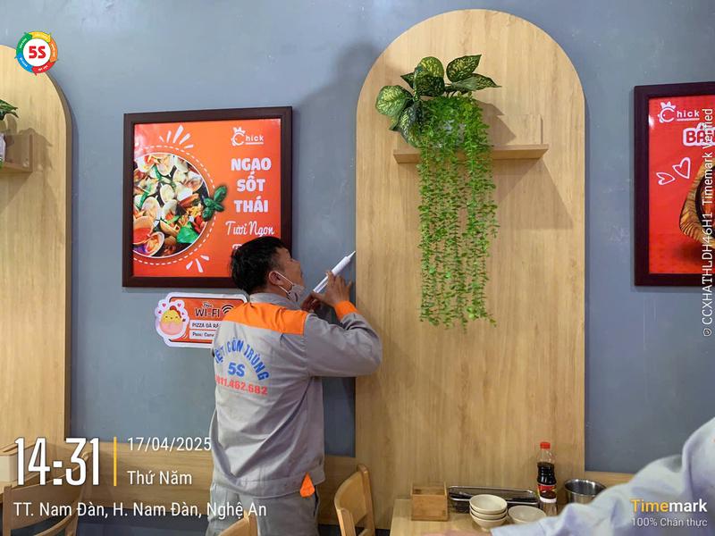 Dịch vụ diệt gián