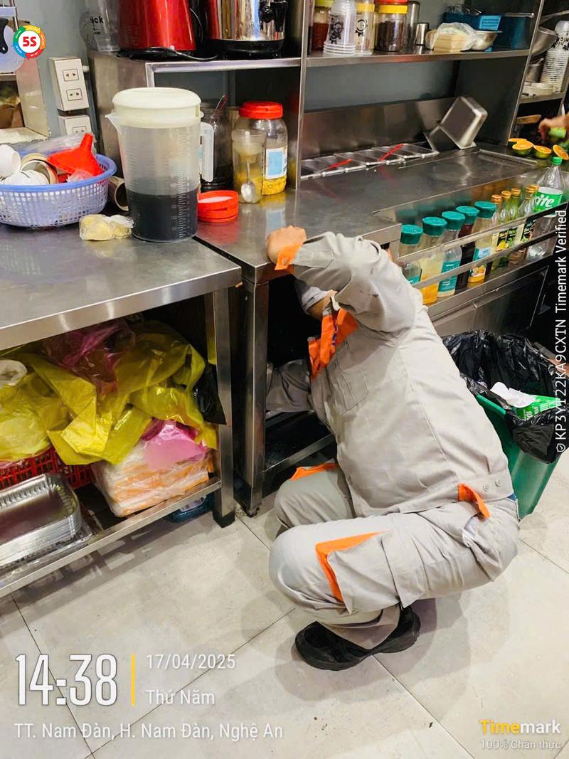 Dịch vụ diệt gián