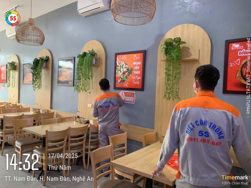 Dịch vụ diệt gián áp dụng cho nhiều không gian