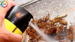 diệt gián tận gốc