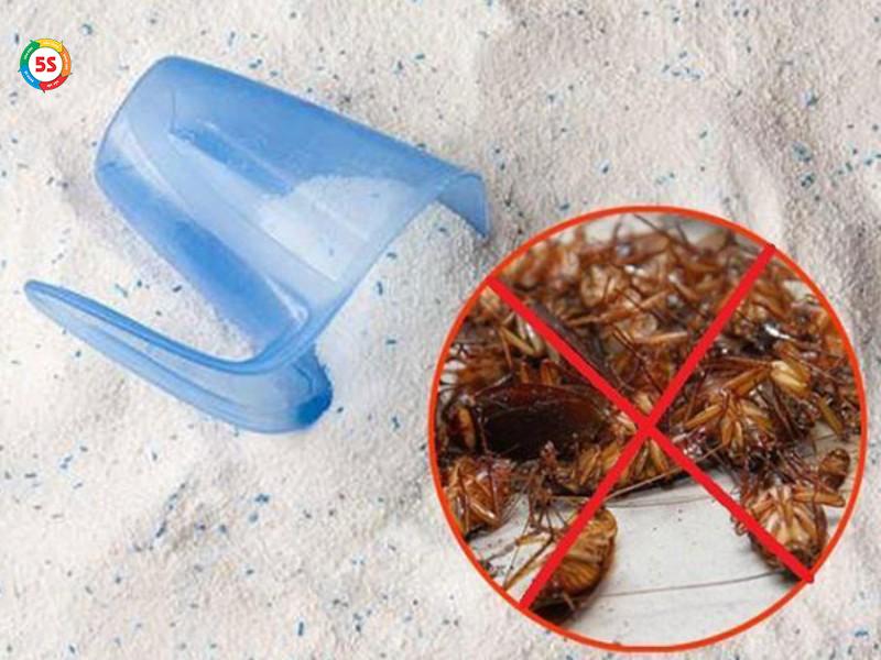 cách diệt gián trong nhà