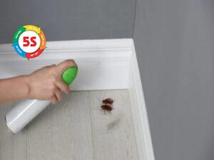 cách đuổi gián ra khỏi phòng