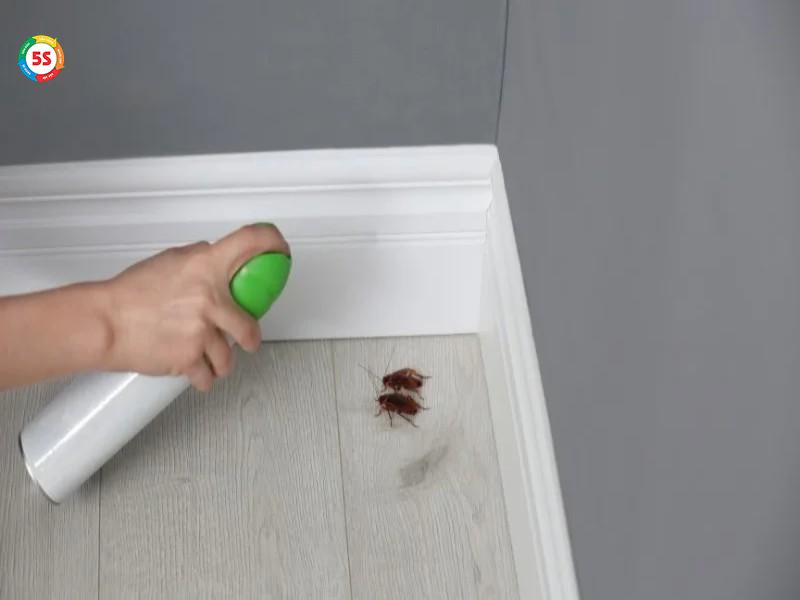 cách đuổi gián ra khỏi phòng