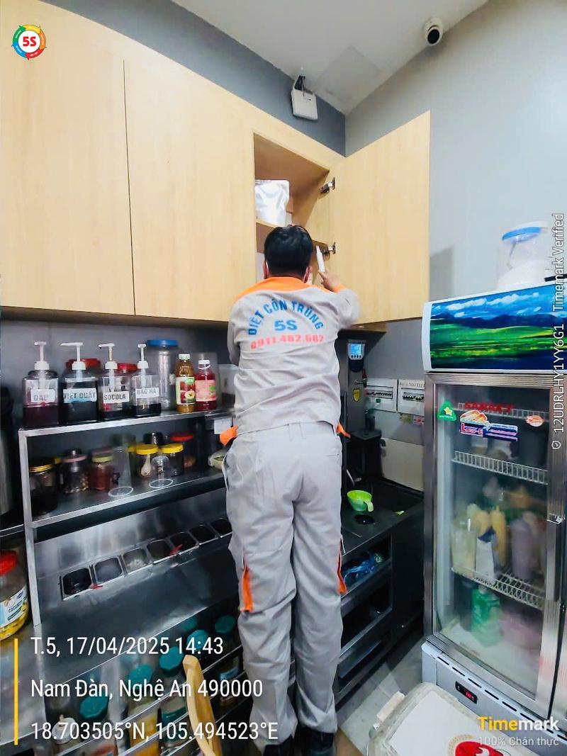 Dịch vụ diệt gián tại Nghệ An uy tín