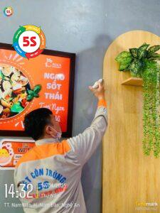 Dịch vụ diệt gián tận gốc tại Vinh