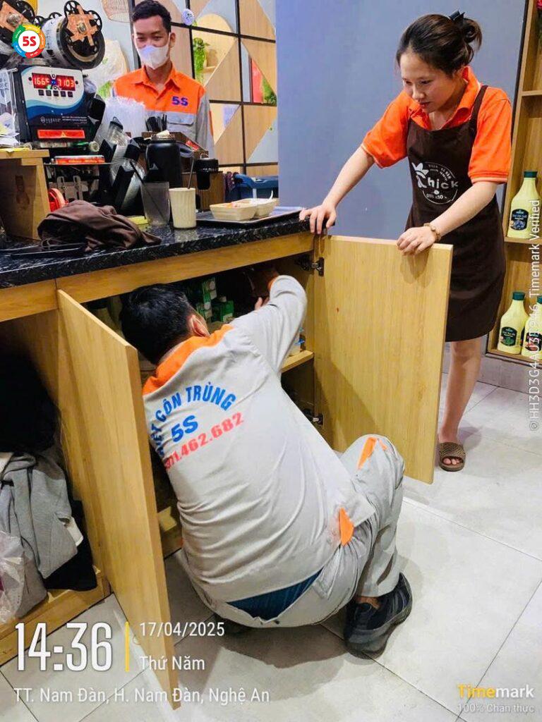 Diệt gián tại nhà ở Vinh