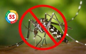 Bảo vệ doanh nghiệp khỏi côn trùng Hà Tĩnh