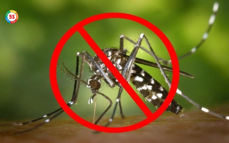 Bảo vệ doanh nghiệp khỏi côn trùng Hà Tĩnh