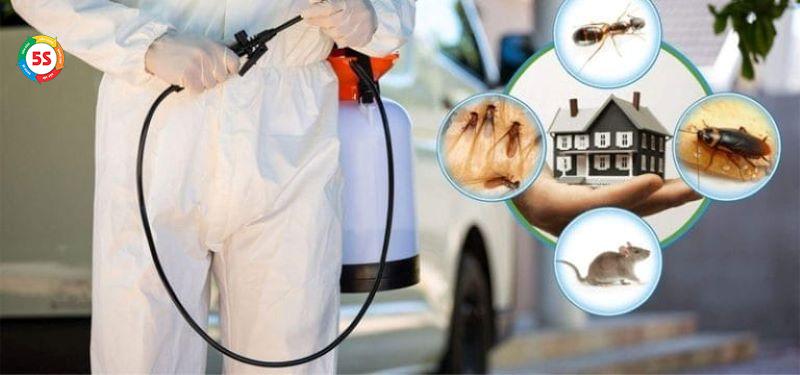 Dịch vụ diệt côn trùng cho doanh nghiệp Hà Tĩnh