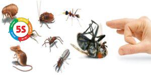 Dịch vụ diệt côn trùng tận gốc Hà Tĩnh