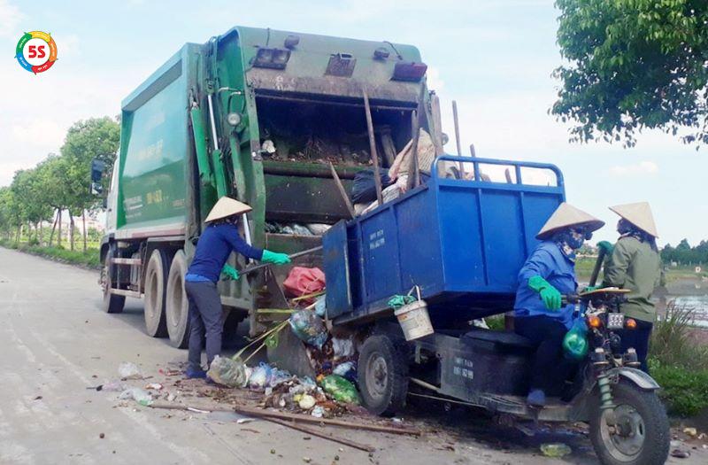 Dịch vụ diệt dơi cho nhà kho, kho xưởng