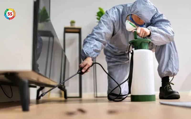 Diệt côn trùng cho kho xưởng tại Hà Tĩnh