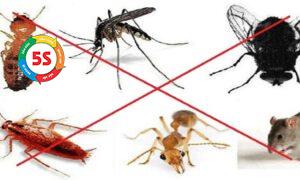 Diệt côn trùng công nghiệp Hà Tĩnh