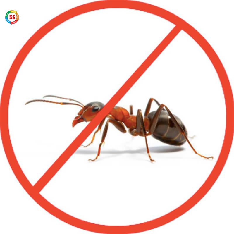 Diệt côn trùng hiệu quả Hà Tĩnh