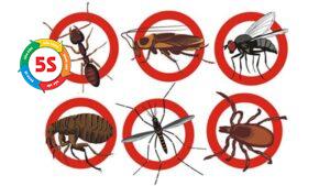 Diệt côn trùng cho cơ sở sản xuất Hà Tĩnh