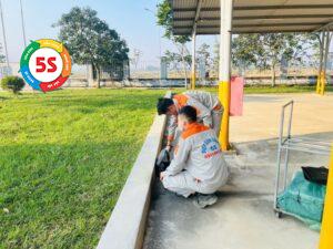 Thuê dịch vụ diệt côn trùng Hà Tĩnh