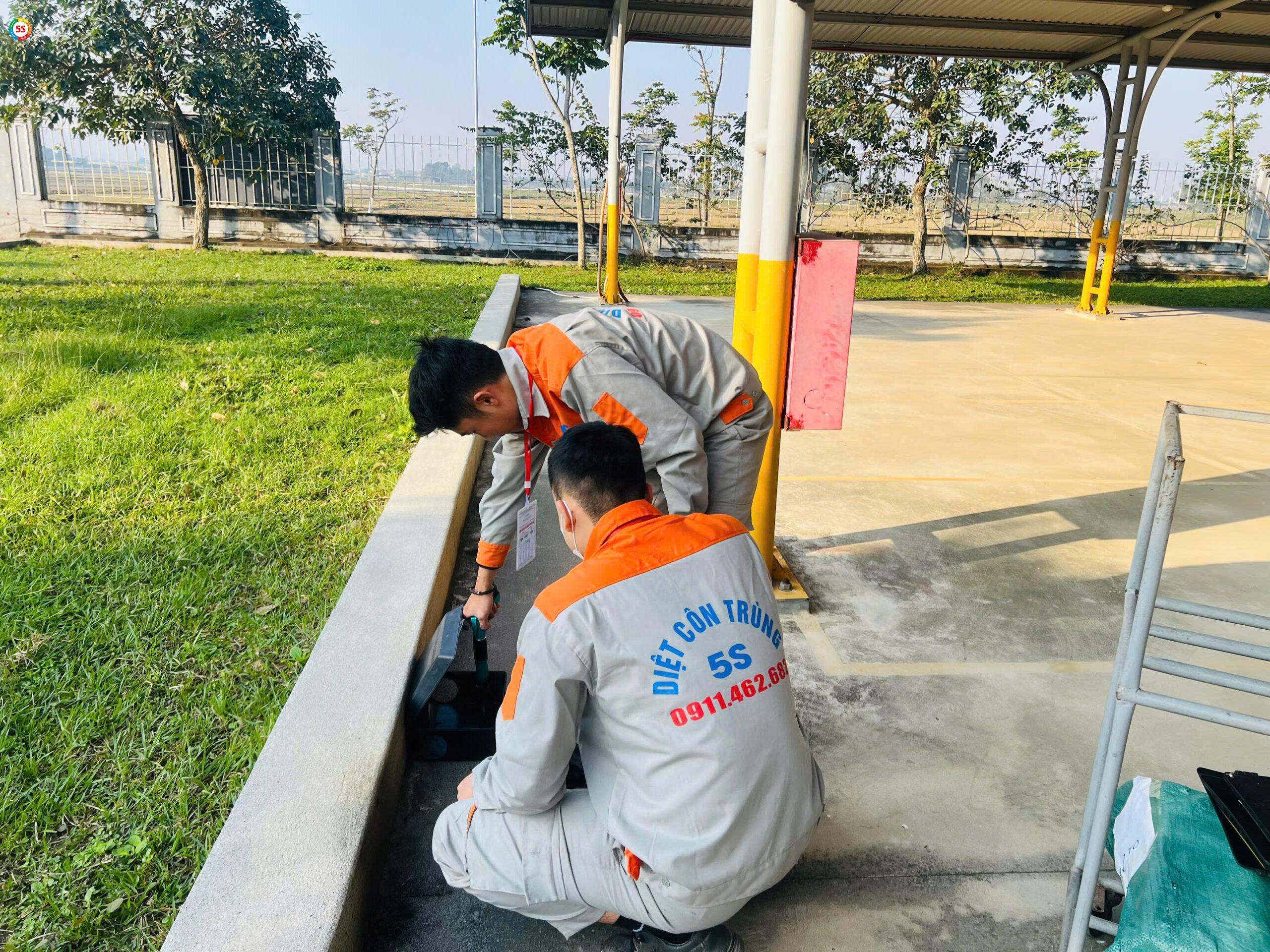 Quy trình diệt côn trùng tại văn phòng cho thuê