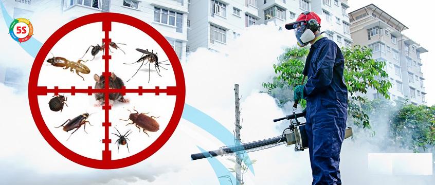 dịch vụ diệt côn trùng Hà Tĩnh tại các khu vực hẻo lánh