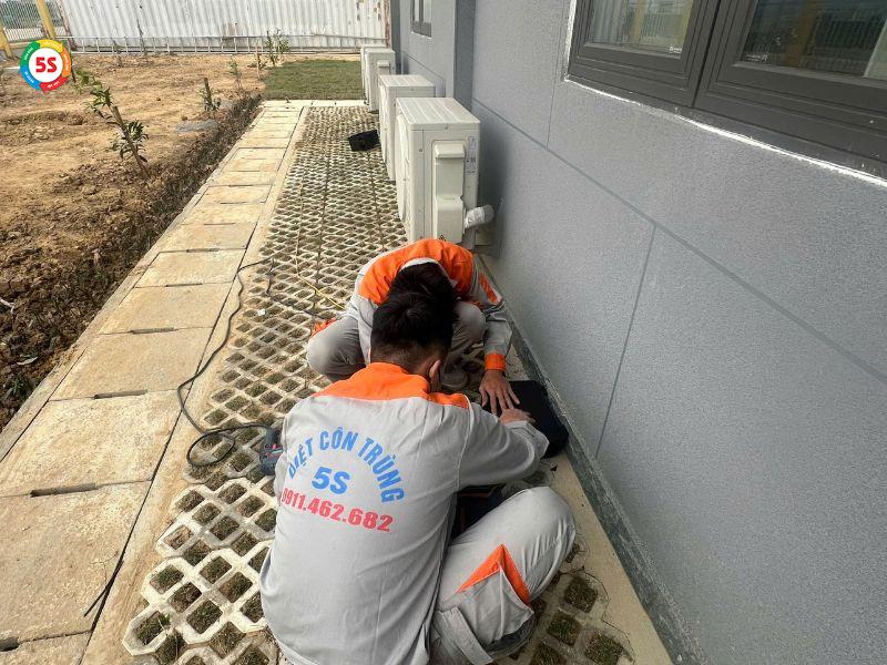 Dịch vụ bắt côn trùng tại Hà Tĩnh