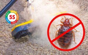 dịch vụ diệt côn trùng Hà Tĩnh với công nghệ cao