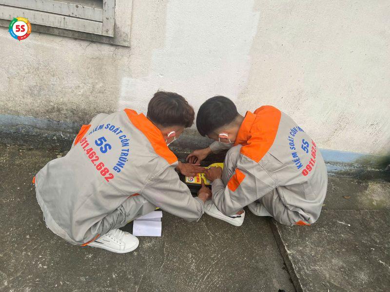 Dịch vụ diệt côn trùng Hà Tĩnh tại khu vực sản xuất