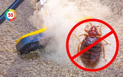 dịch vụ diệt côn trùng Hà Tĩnh với công nghệ cao