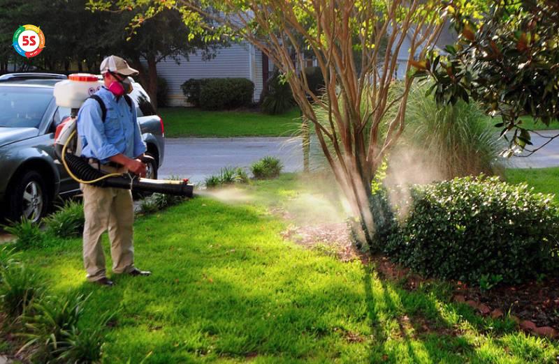 dịch vụ diệt côn trùng Hà Tĩnh tại các khu căn hộ có vườn