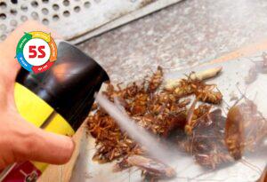 Dịch vụ kiểm soát côn trùng trong các khu công nghiệp chế biến