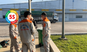 Diệt mối kho xưởng Nghệ An