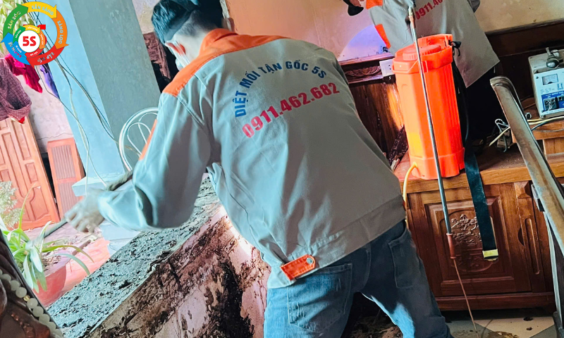 diệt mối công trình Nghệ An