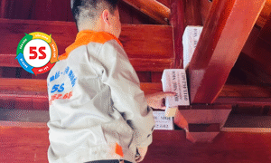 diệt mối nhà ở Nghệ An