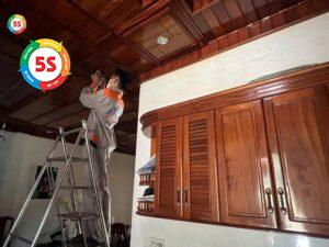 Báo giá diệt mối Vinh