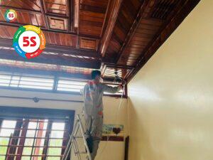 diệt mối giá rẻ Nghệ An