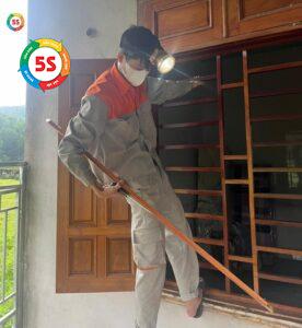 Diệt mối giá rẻ Nghệ An