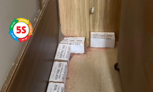 Thuốc diệt mối có độc hại không