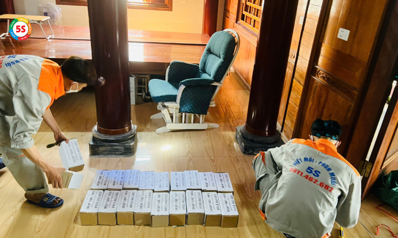 Diệt mối chuyên nghiệp Nghệ An