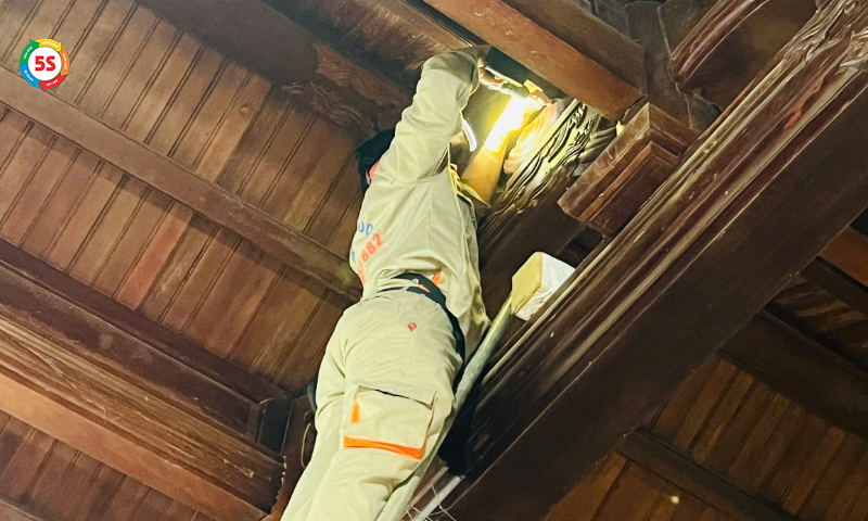 Diệt mối văn phòng Vinh