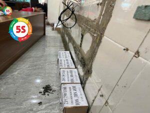 Diệt mối sinh học Nghệ An